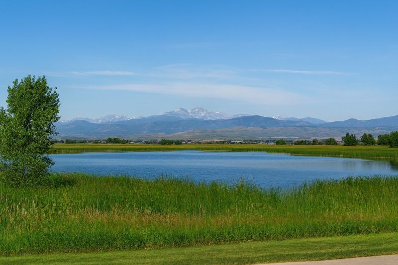 Watercolor Landscape
