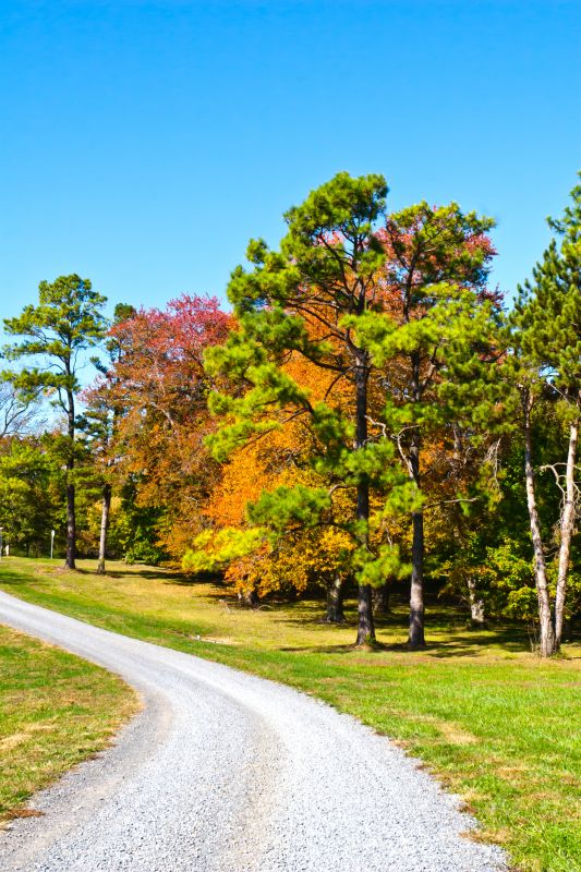 Autumn Painting Conditions